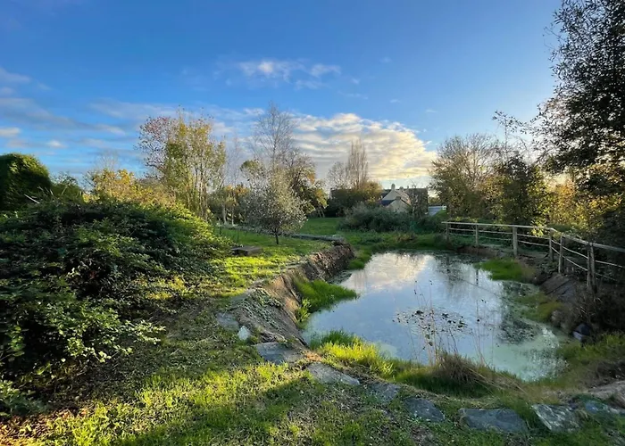 Le Clos Des Cigognes - Architect-designed House Near Omaha Holiday home Trevieres