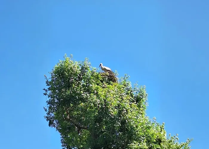 Le Clos Des Cigognes - Architect-designed House Near Omaha